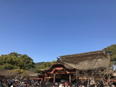 IMG_8239[1]