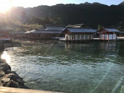IMG_8272[1]